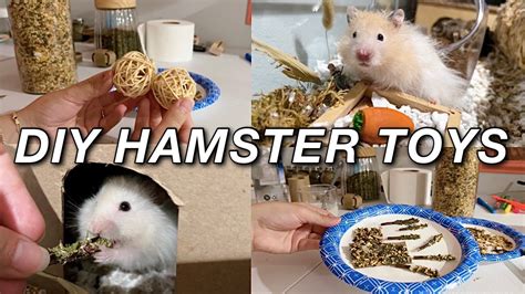 cute toys for hamsters|best enrichment toys for hamsters.